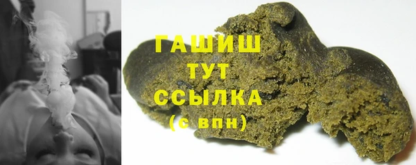 хмурый Пересвет