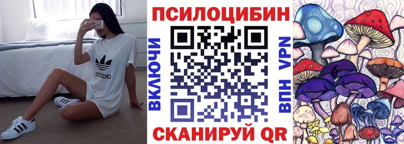 Псилоцибиновые грибы Cubensis  как найти наркотики  Елец 
